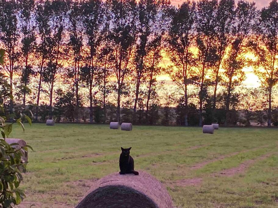 Ferienwohnung Kompass Nahe Der Ostsee Im Gruenen Bad Doberan Exterior foto